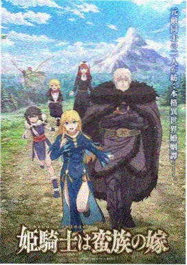 银砂纪年动画字幕版本示意图