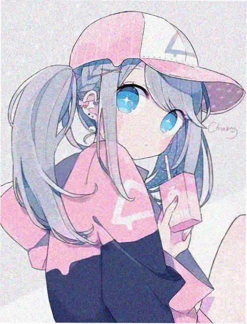 候鸟旅馆电影字幕版本示意图